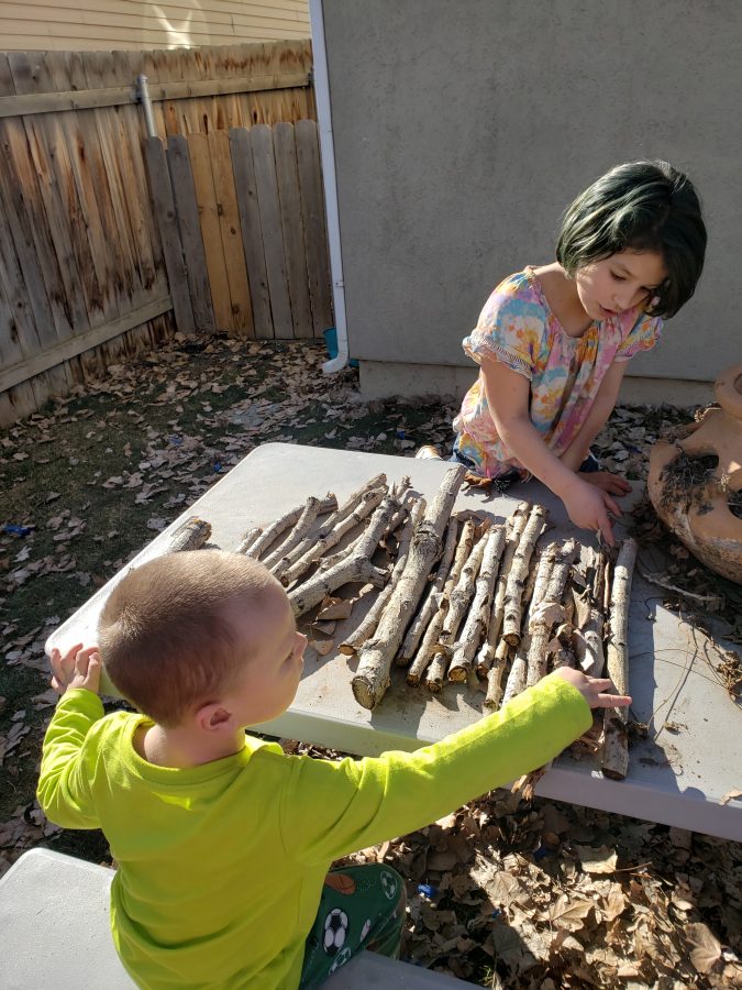 Two children sorting sticks at an outdoor table
